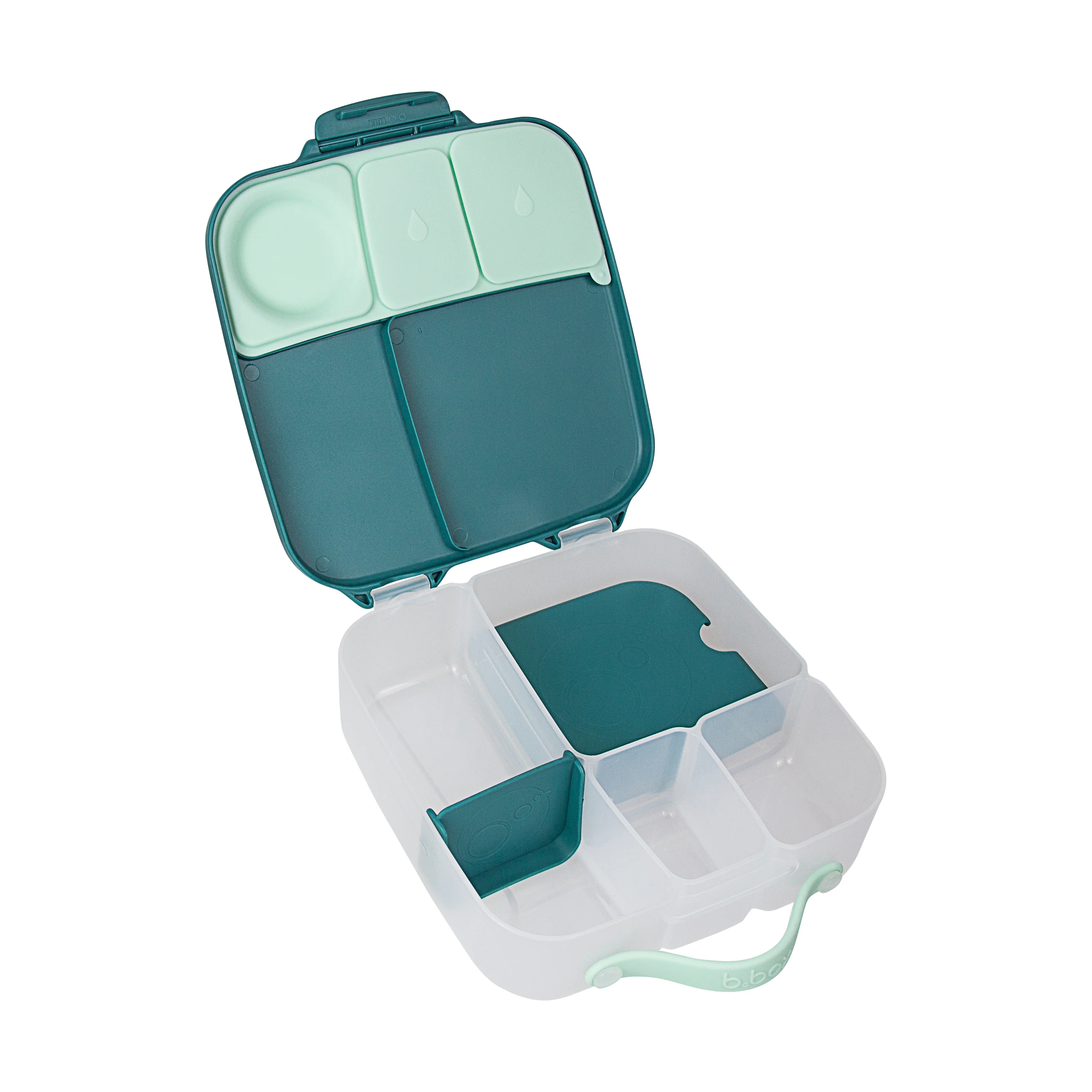 lunchbox - emerald forest - Image 4