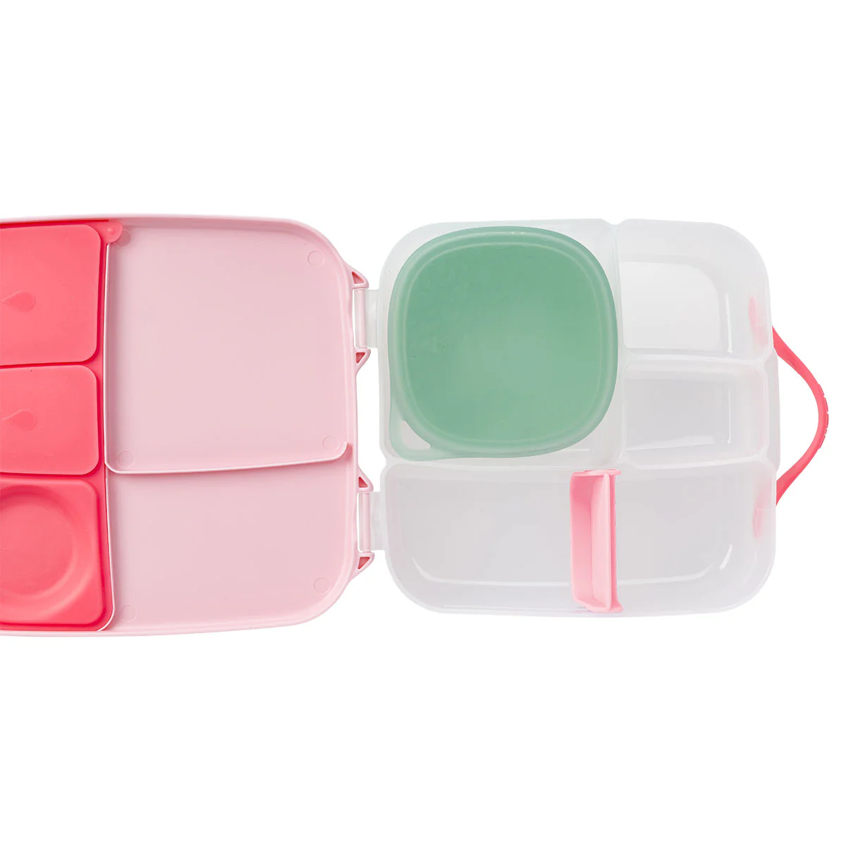 lunch tub - forest - Image 4