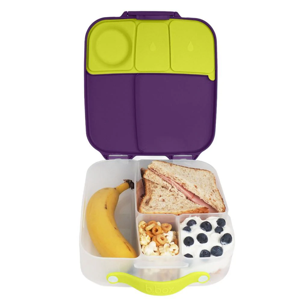 lunchbox - passion splash - Image 4