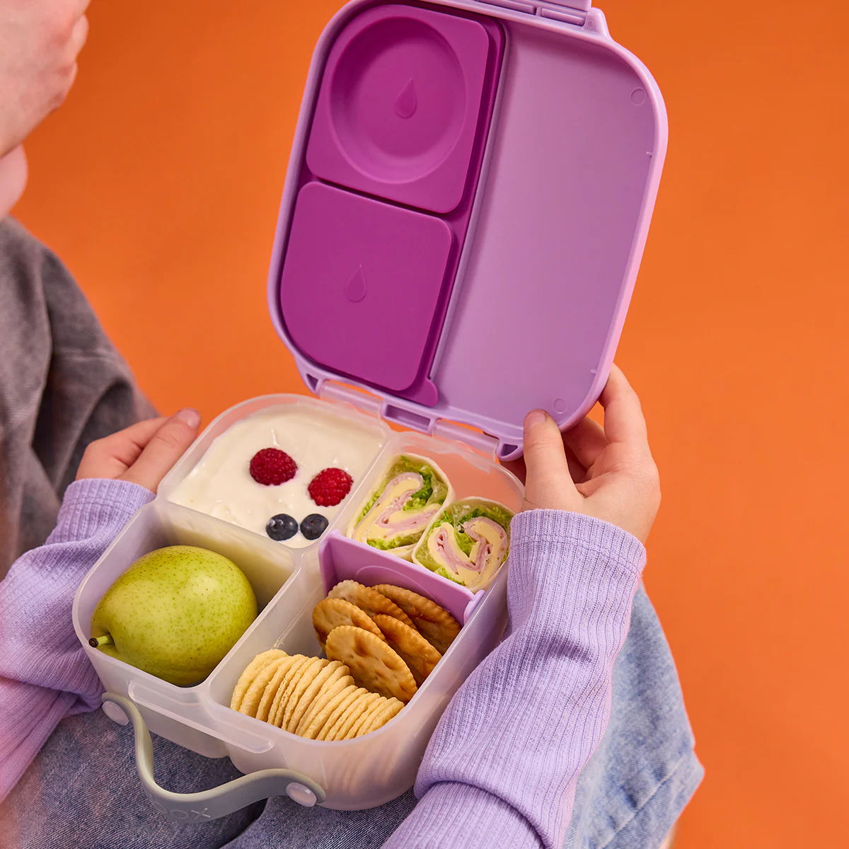 mini lunchbox - sugar plum - Image 2