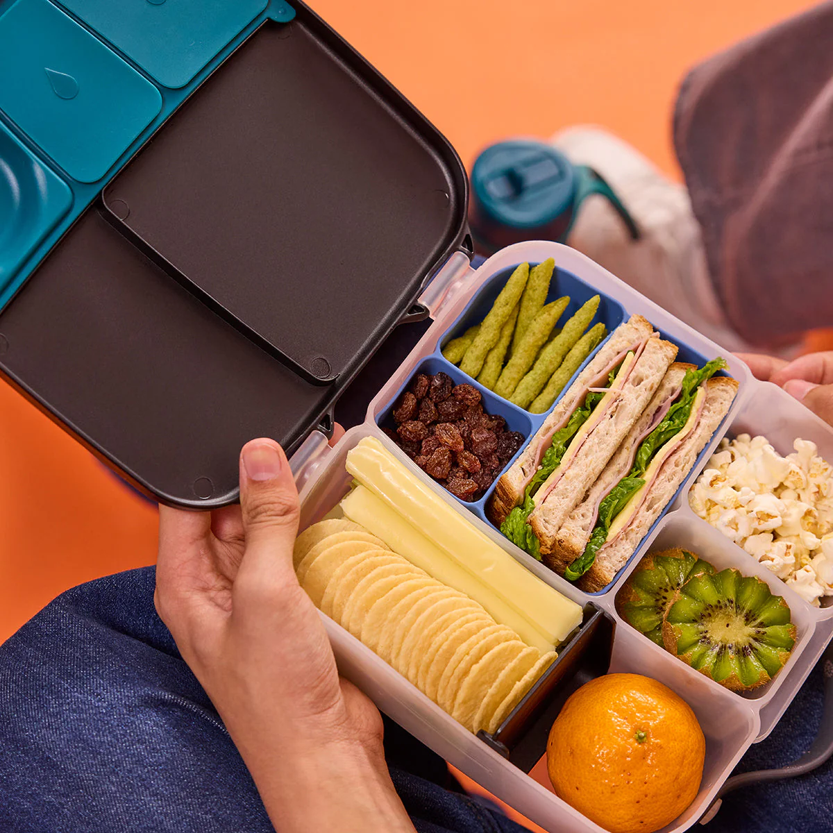 silicone bento buddy - lunchbox - ocean - Image 2