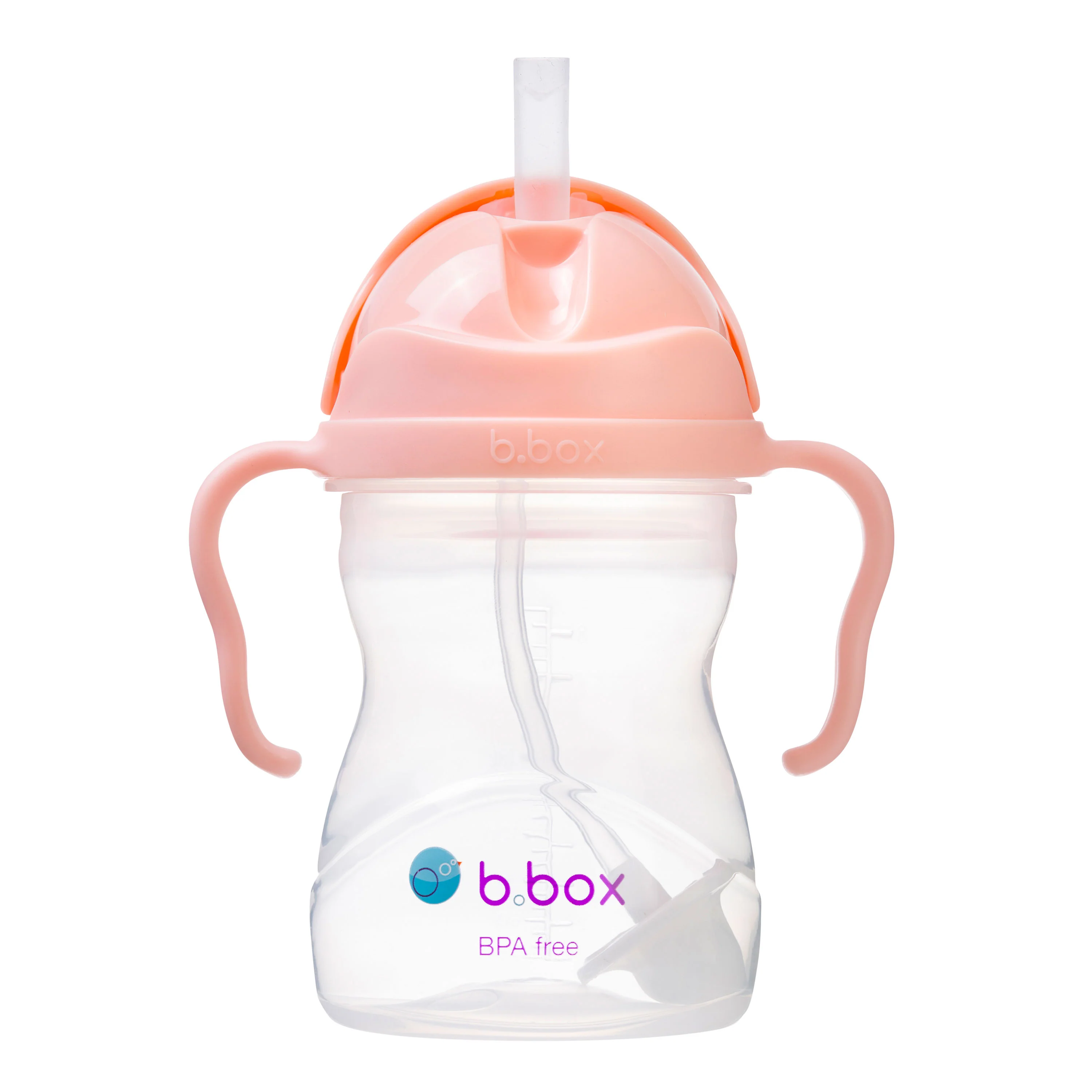 sippy cup - tutti frutti - Image 3